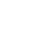 Schmidt Law